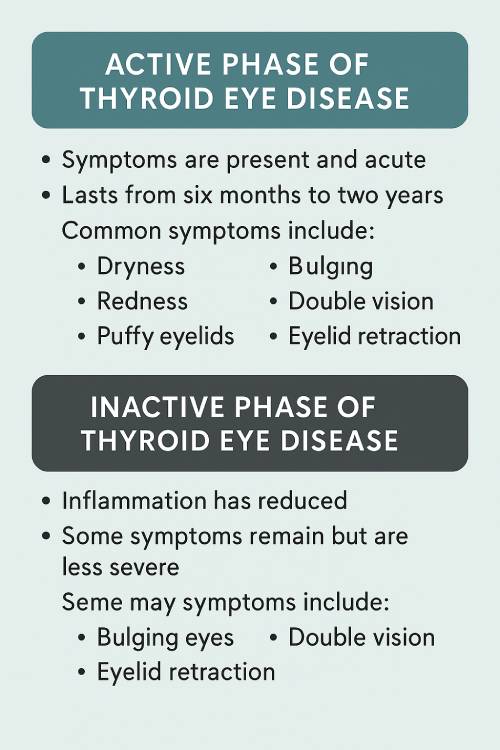 infographic for the two phases of thyroid eye disease